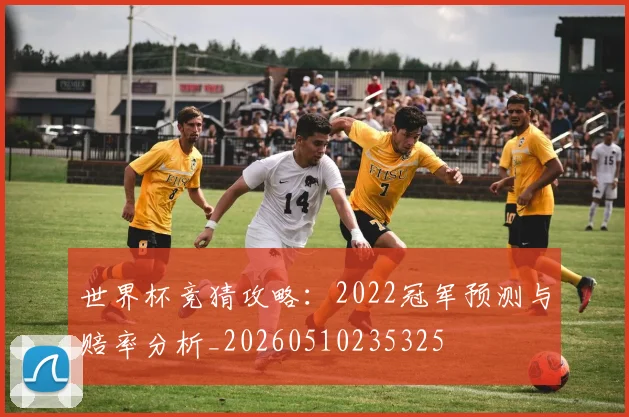 世界杯竞猜攻略：2022冠军预测与赔率分析_20260510235325